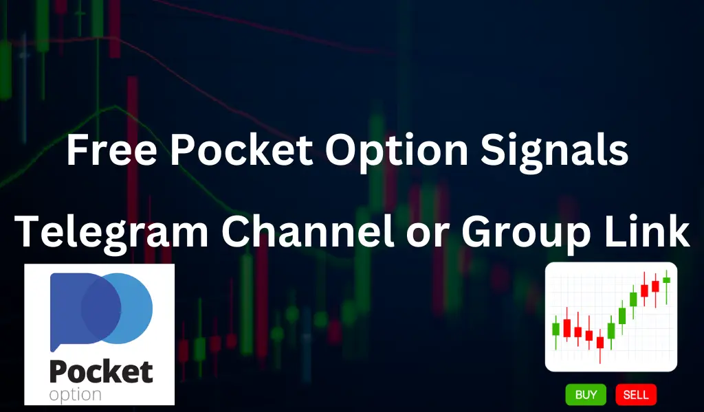 Pocket Option Trading Expert Interview