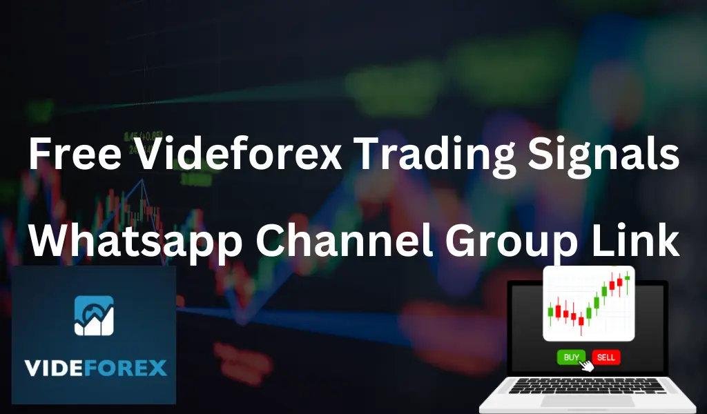 Free Videforex Trading Signals Whatsapp Channel Group Link