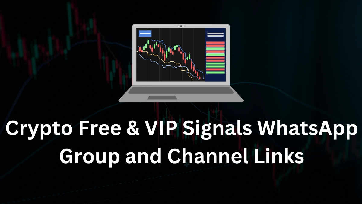 Crypto VIP and Free Signals WhatsApp Group and Channel Links